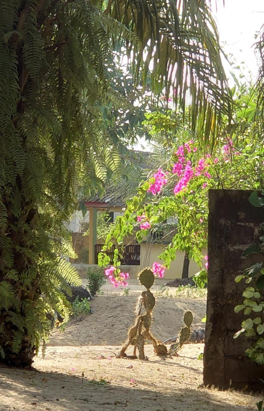 Rundbungalow auf Lionsrest Grand-Bassam Exterior foto
